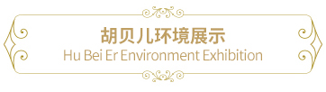 胡贝儿环境展示